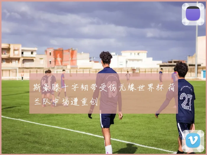 斯豪滕十字韧带受伤无缘世界杯 荷兰队中场遭重创