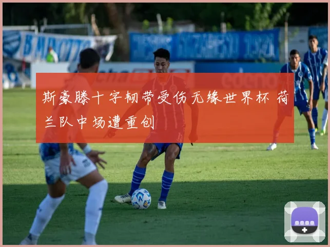 斯豪滕十字韧带受伤无缘世界杯 荷兰队中场遭重创